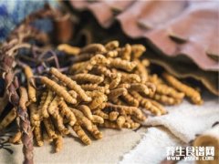 青海玉树新鲜冬虫夏草一斤多少钱?